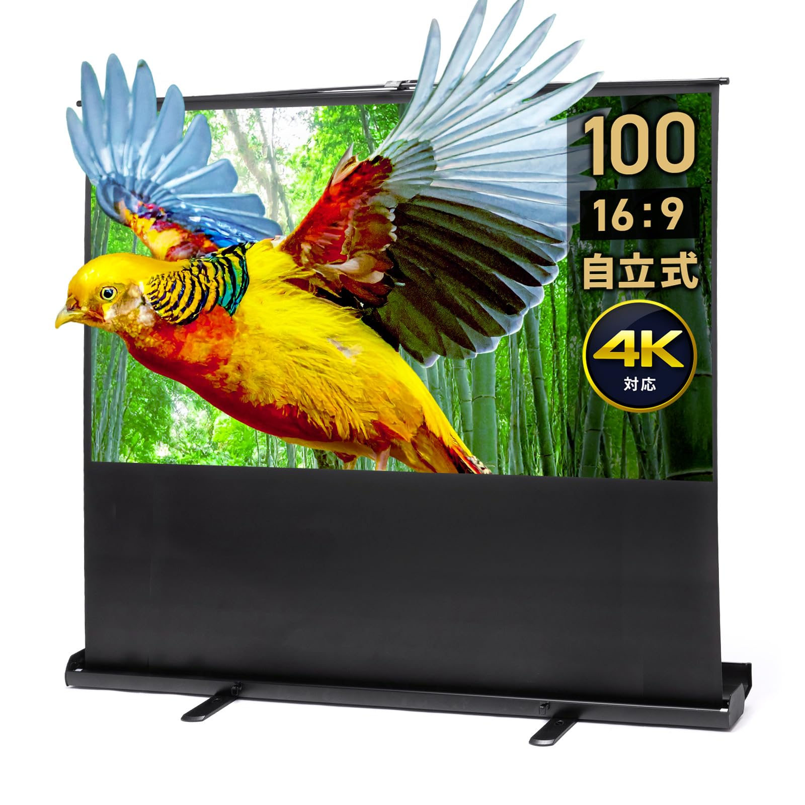 Amazon | イーサプライ プロジェクタースクリーン 100インチ 16:9 フル