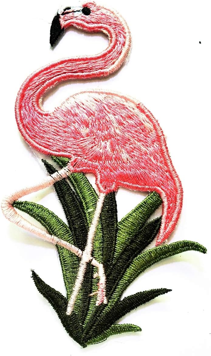 Amazon.com: Nipitshop parches rosa flamenco verde hierba animal dibujos  animados niños parche bordado para ropa mochilas camiseta pantalones  vaqueros falda chaleco bufanda sombrero bolsa : Arte y Manualidades