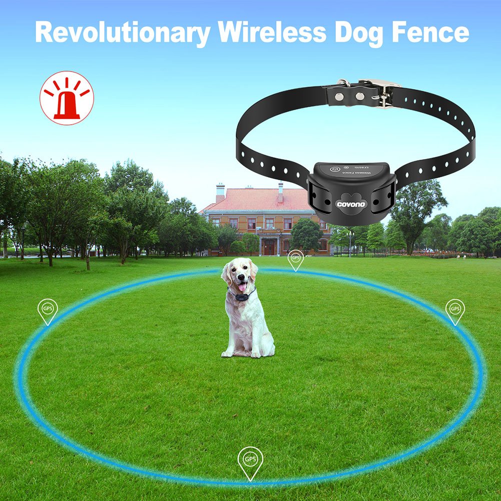 Do Invisible Fences Shock Dogs