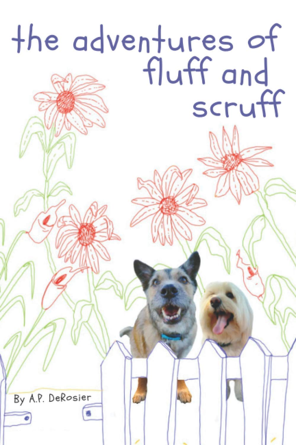 the adventures of fluff and scruff: A rhyming chapter book for beginners.