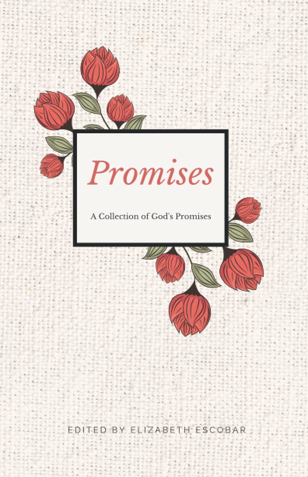 Promises: A Collection of God's Promises