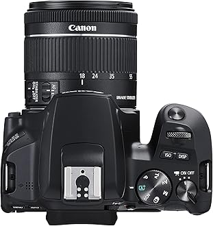 Canon EOS 250D + Canon EF-s 18-55mm f/4-5.6 IS STM Lens - Black