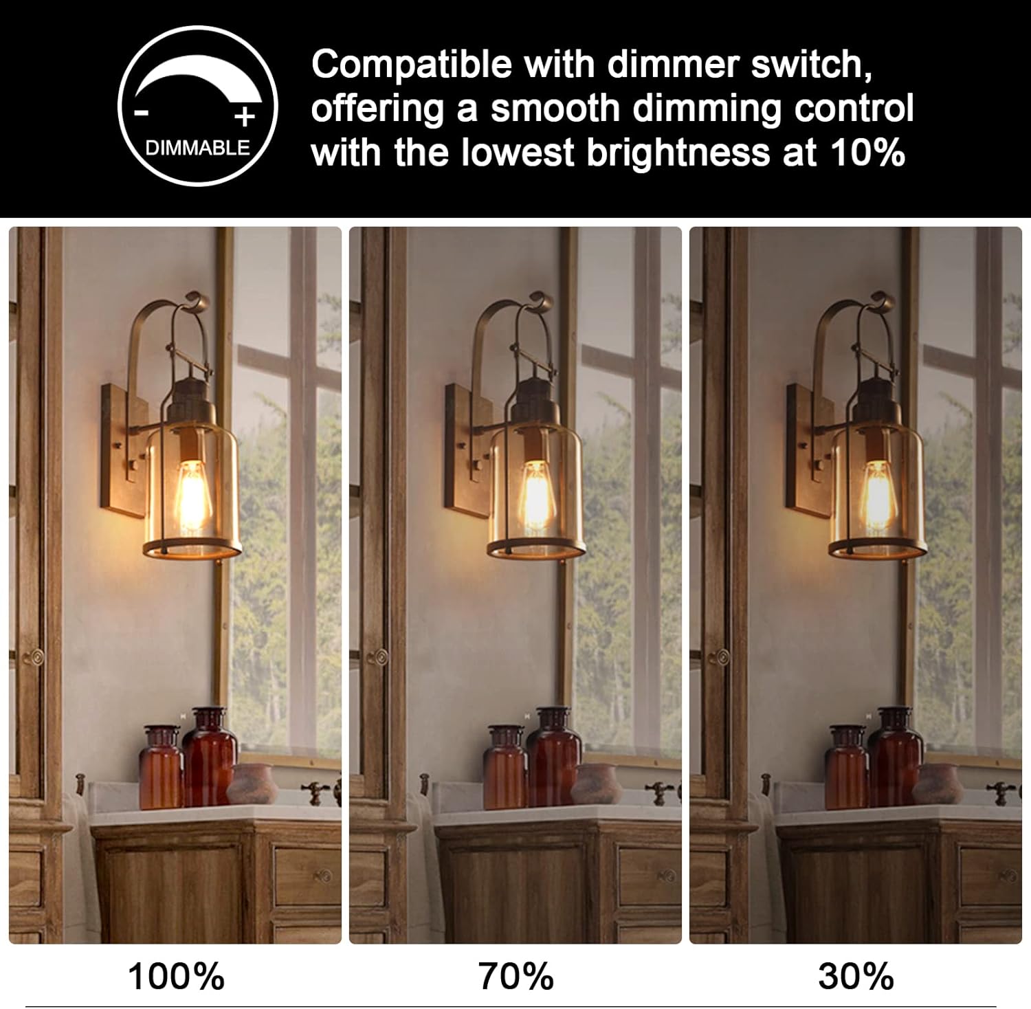 Buy Ascher Dimmable Vintage LED Edison Bulbs 60 Watt Equivalent, Eye