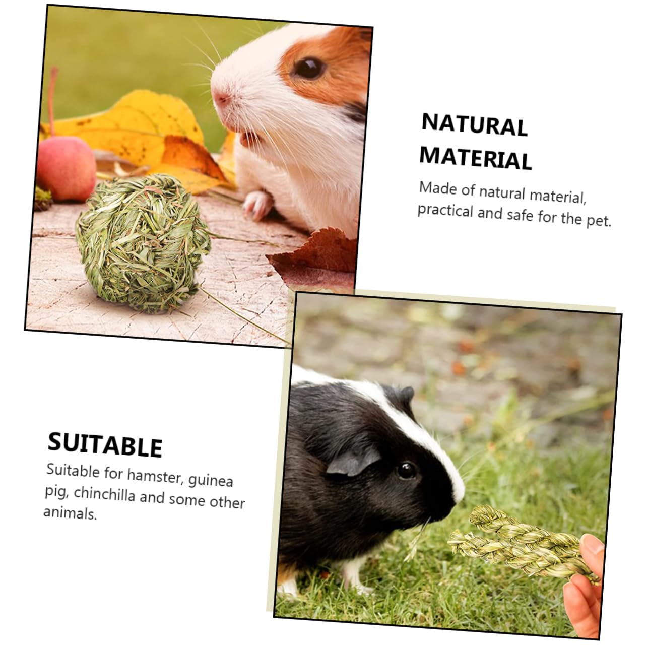 Angoily 18pièces Jouets à Mâcher pour Cobayes Chinchillas Et Petits Animaux Accessoires De Jeu Molar pour Rongeurs