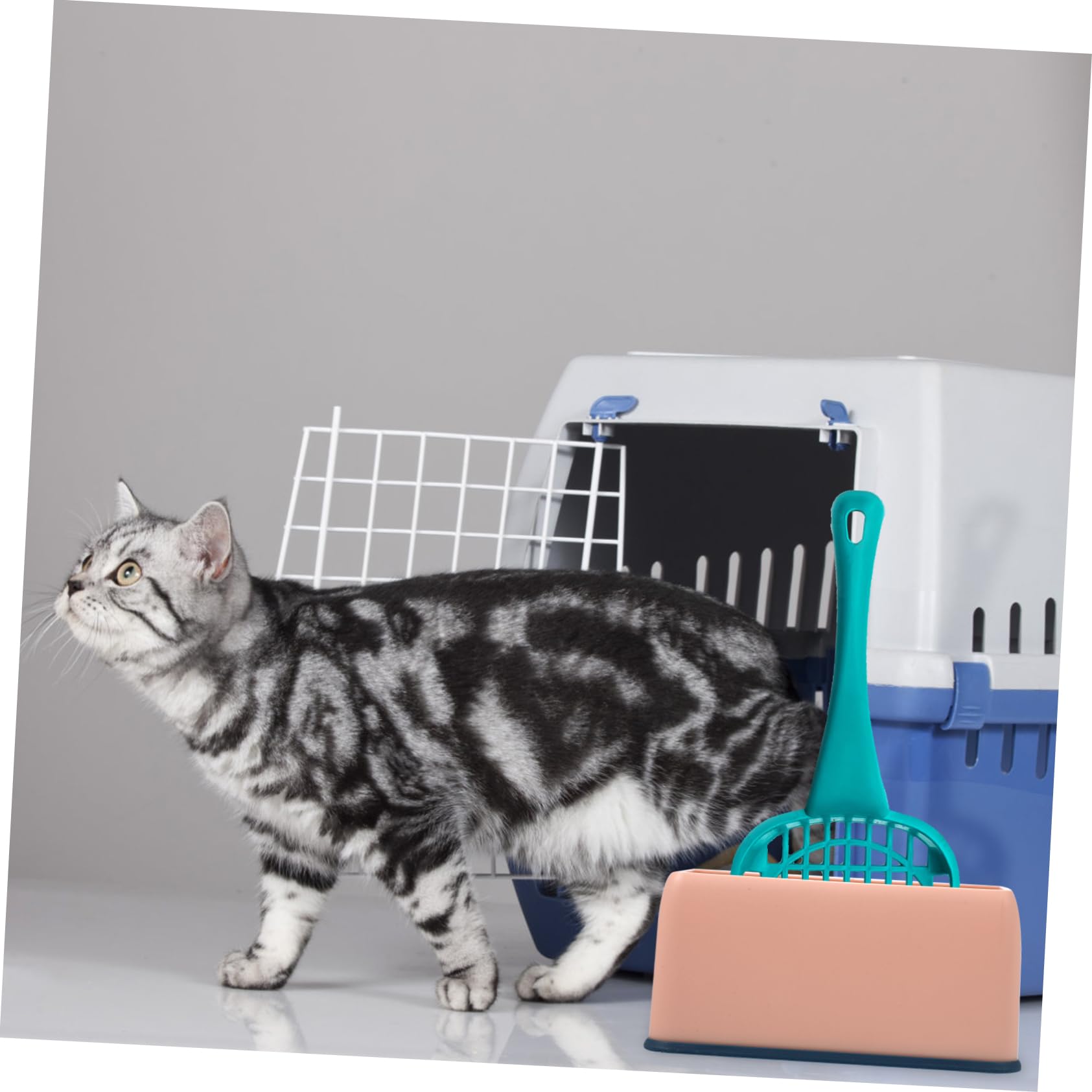 COSMEVIVI Pet Supply Cat Litter Scoop Base Litter Shovel Stand Storage Plastic Scoop Holders for Home Holder