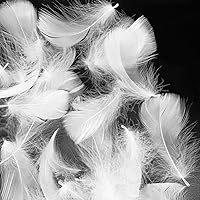 Vista 10 de 600 plumas coloridas, 20 colores, plumas de 3 a 5 pulgadas, plumas de colores surtidos del arco iris para niños, hechas a mano, decoración de boda