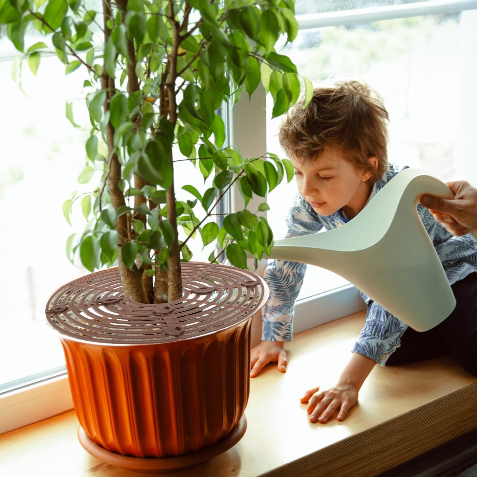 Nogeqi Lot de 2 grilles de protection pour pot de fleurs, protection des plantes, grille ronde pour plantes, enfants, animaux domestiques