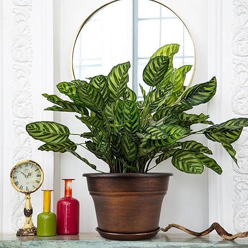 Miniatura 6 de Macetas de 10 pulgadas para interiores y exteriores, paquete de 4 macetas de plástico para plantas de interior con agujeros de drenaje y bandejas,