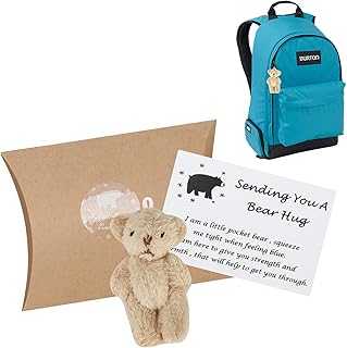 Little Pocket Bear Hug Sending You Pocket Hug Token, Mini Plush Worry Bear Get Well Soon & Thinking Of You Gifts for Women Kids Loved Ones, Comforting Cheer Up Gifts for Lover Friends Couple (Grey)