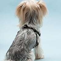 Vista 4 de Arnés para perro, arnés sin tirones para perros pequeños, chaleco acolchado suave ajustable para perros, chaleco Oxford reflectante sin