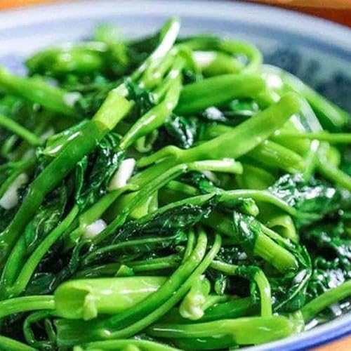 Miniatura 5 de Más de 500 semillas de Kangkong – Rau Muong- Kong Xin CAI- Ong Choy semillas para plantar, semillas de vegetales para patio y jardín, fabricadas en