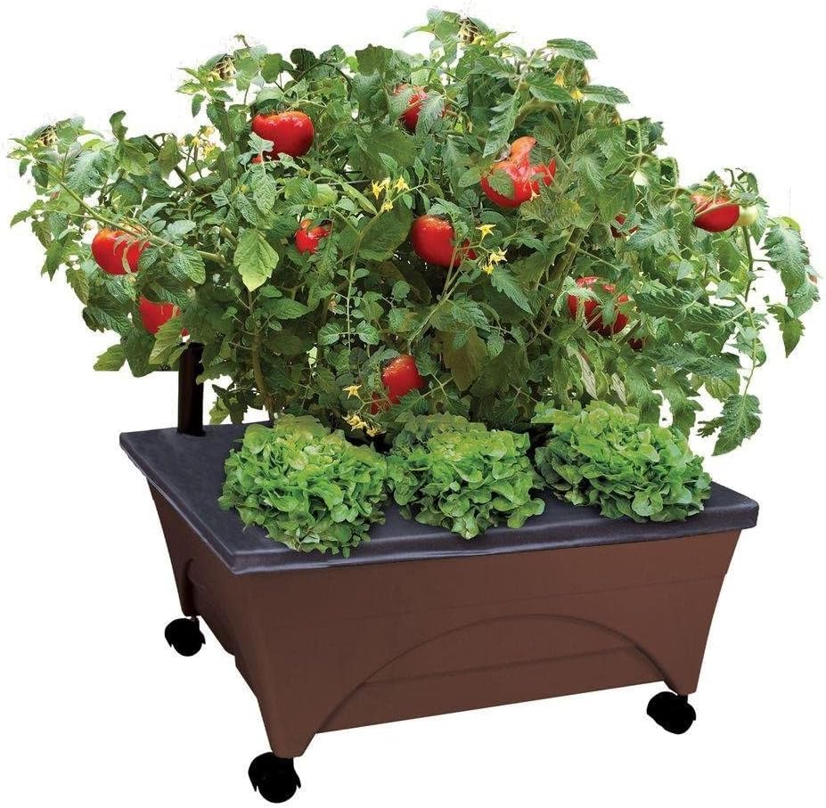 2345 City Raised Bed Grow Box – Self Watering and Improved Aeration – Mobile Unit with Casters Picker, Earth Brown