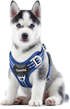 No Pull Dog Harness - Adjustable Reflective Dog Vest with Metal Snap, Soft Breathable Mesh No Choke Puppy Harness, Easy to Put on & Take Off Blue-XS