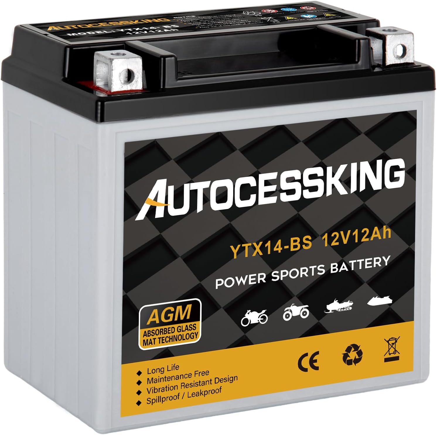 Autocessking YTX14-BS 12V 12Ah Motorcycle Battery, Rechargeable Sealed AGM Battery Maintenance Free Powersport Replacement Battery for ATV and Scooter