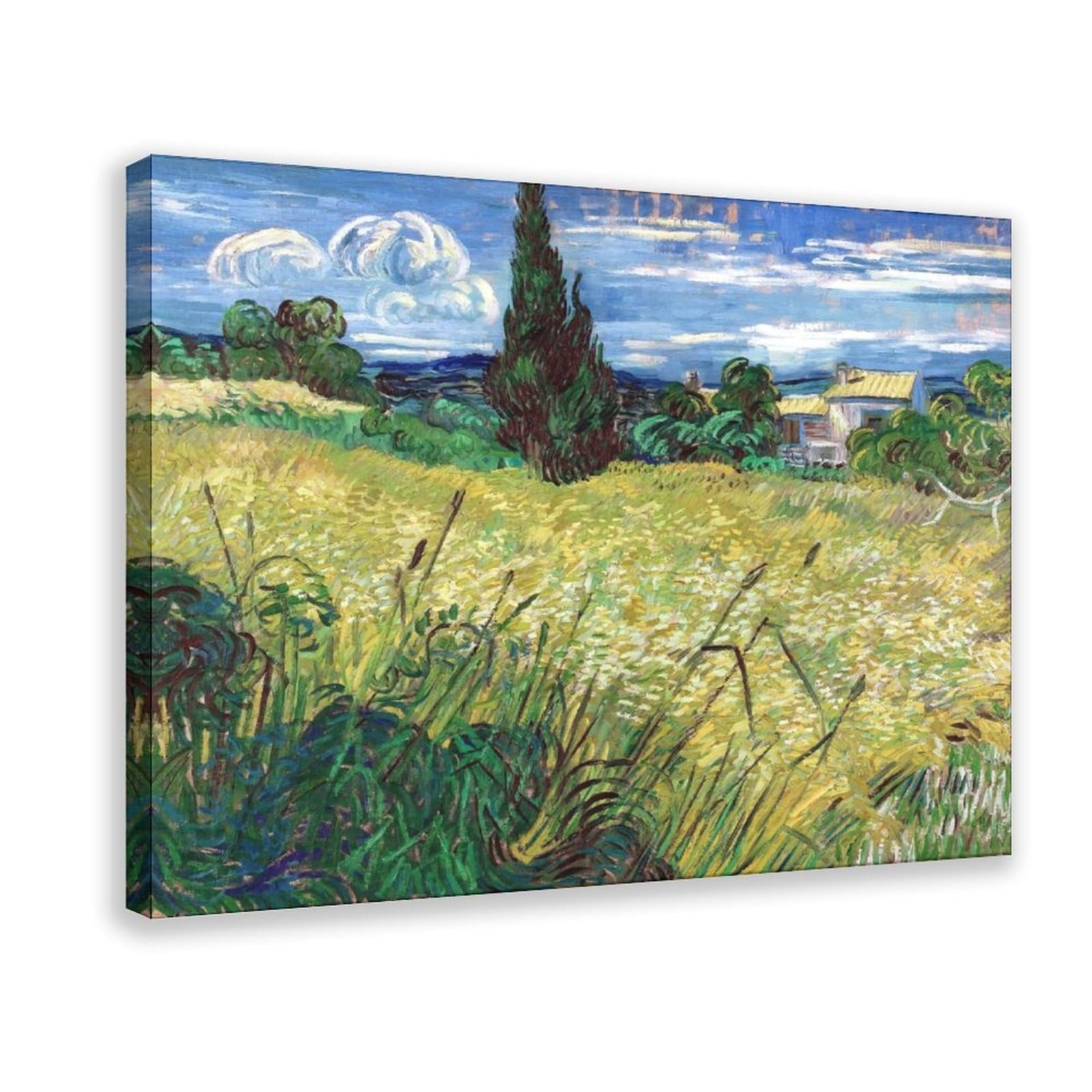 Impression sur toile champ de blé vert WCYB 40x61 cm - 8