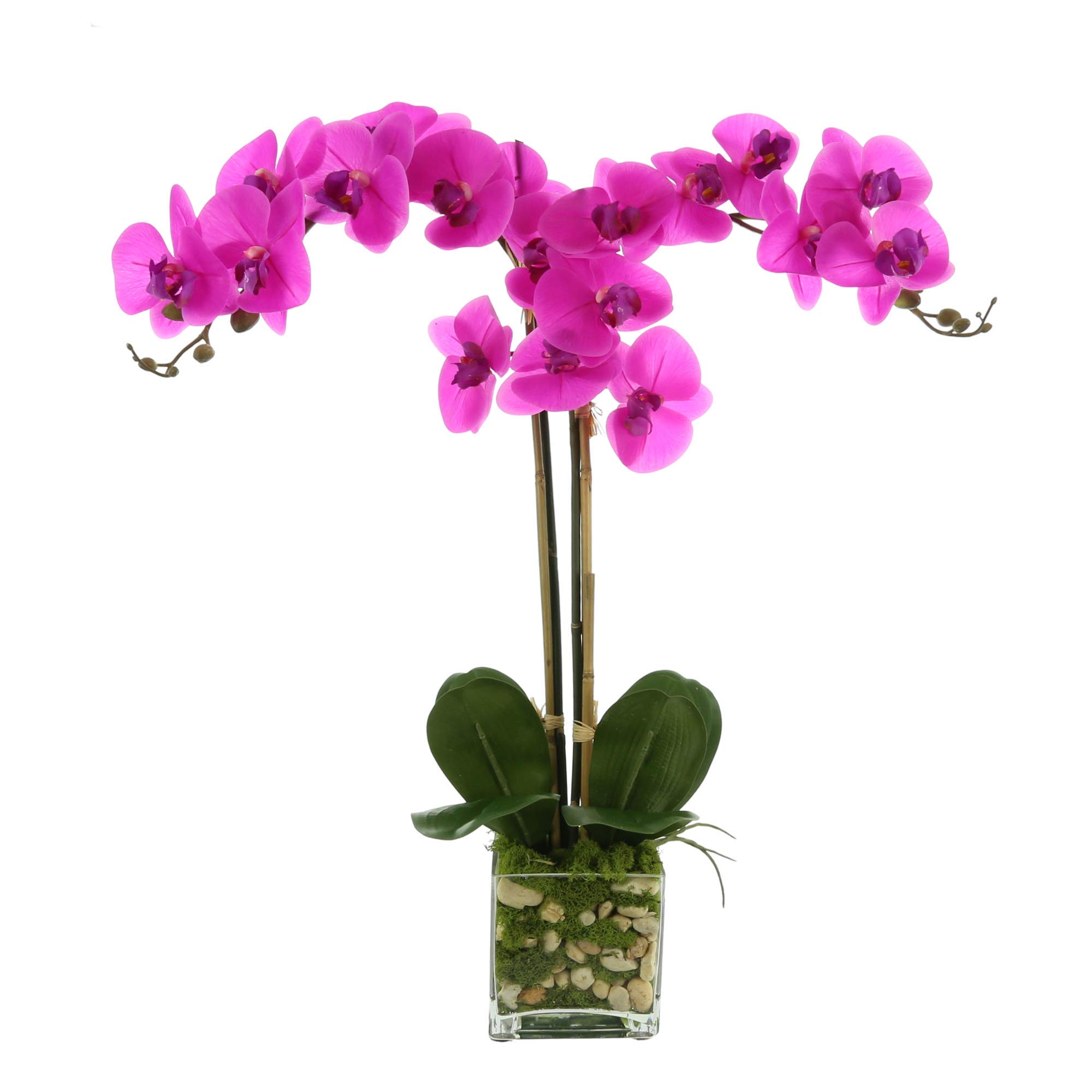 Creative Displays Orchid in Squared Glass Vase with River Rocks