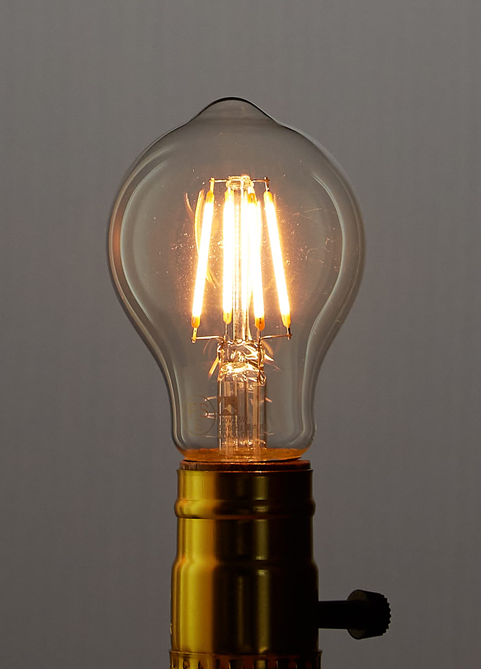 Amazon | 舶用電球(Hakuyo Denkyu) ヴィンテージランプ LED電球タイプ