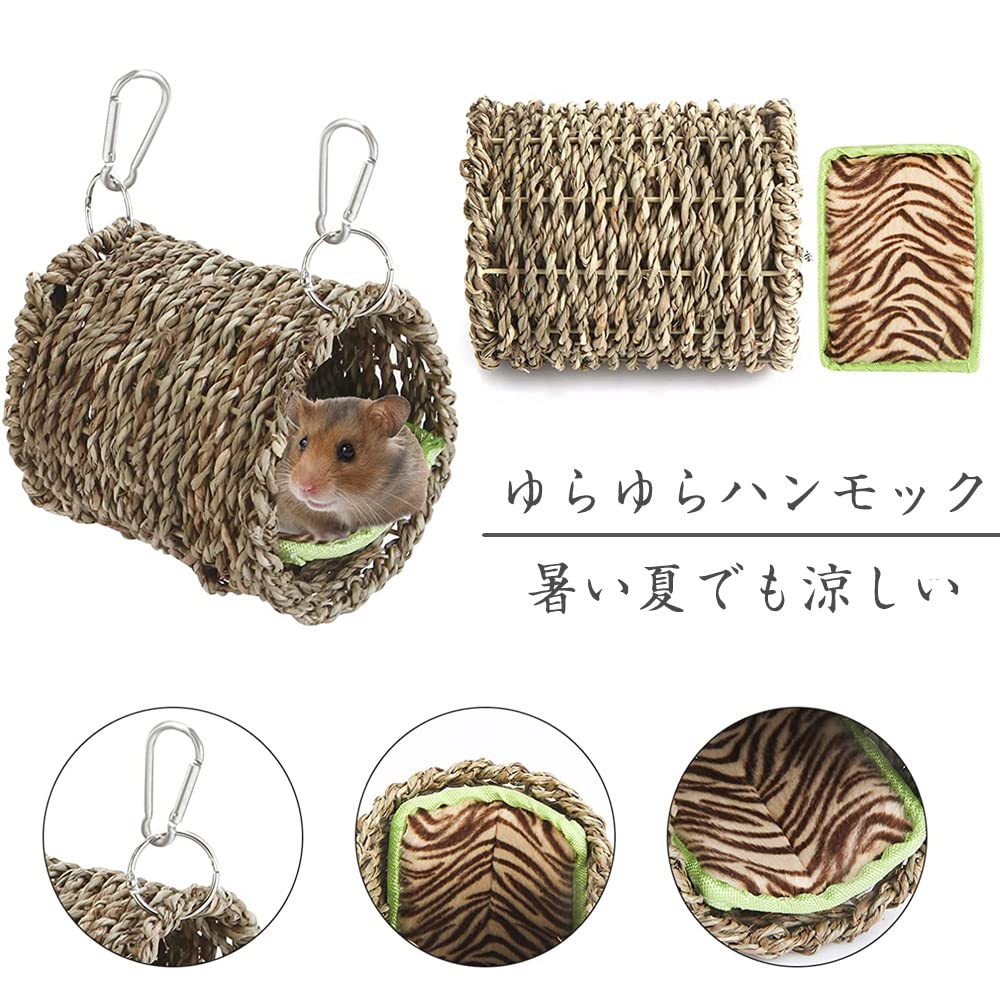 Amazon | IYOIYA デグー ステージ ステップ セット 4点入り 小動物