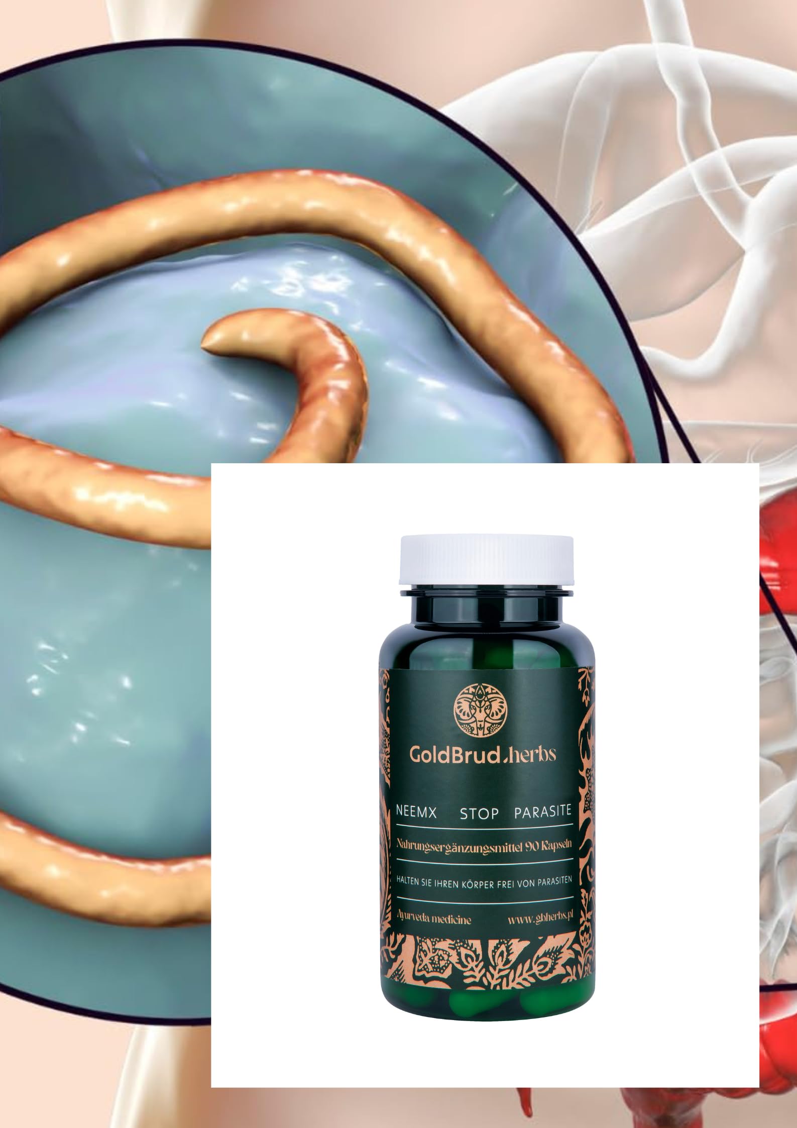 NeemX | Knoblauch, Neembaum-Frucht, Ajowan 400mg | | 90 Caps | Goldbrudherbs | Natürliche Kräuter | Keine Konservierungsstoffe | Ayurveda-Ergänzung | Antioxidans |Parasiten | Pilze | Bakterien