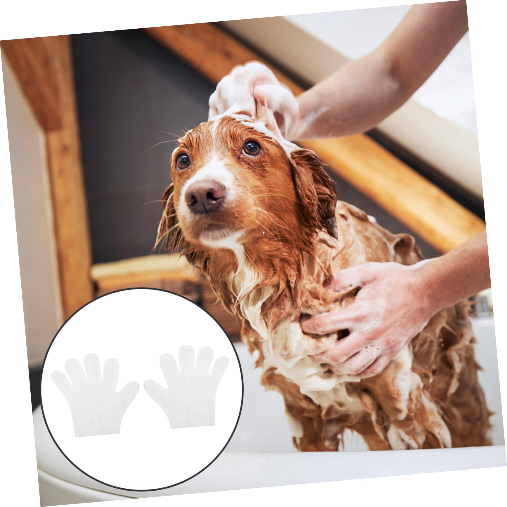 WOONEKY 6piezas Guantes De Limpieza Reutilizables para Guantes para y Gatos Limpieza Sin Agua y Absorbentes Cuidado De