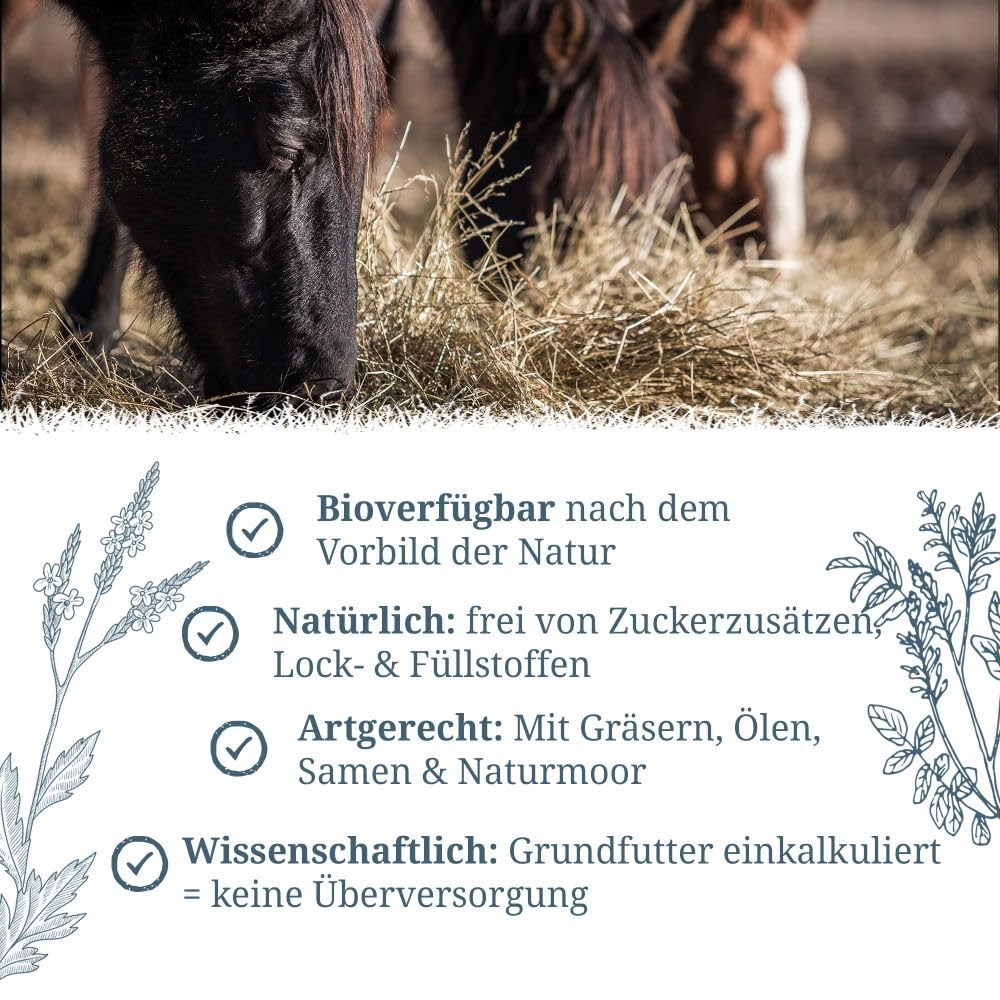 Krauterie Wilde Wiese Mineral - Heufütterung für Pferde (6500g) | mineralisiertes und vitaminisiertes Ergänzungsfutter für Pferde in Spitzenqualität - getreidefrei, zuckerfrei, melassefrei