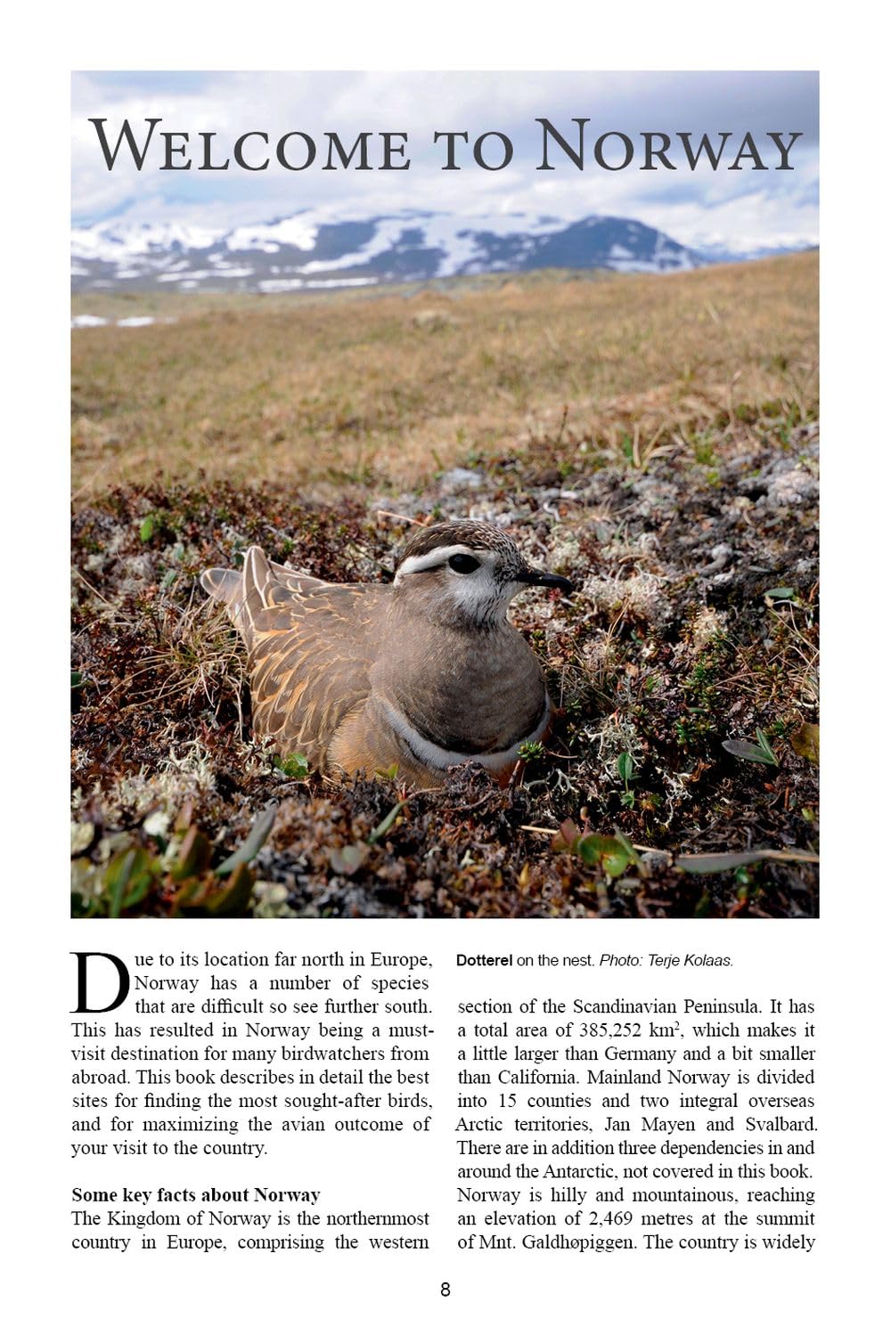 A Birdwatcher's Guide to Norway: Where, When and How to Find Scandinavia's Most Sought-after Birds      Paperback – July 1, 2024