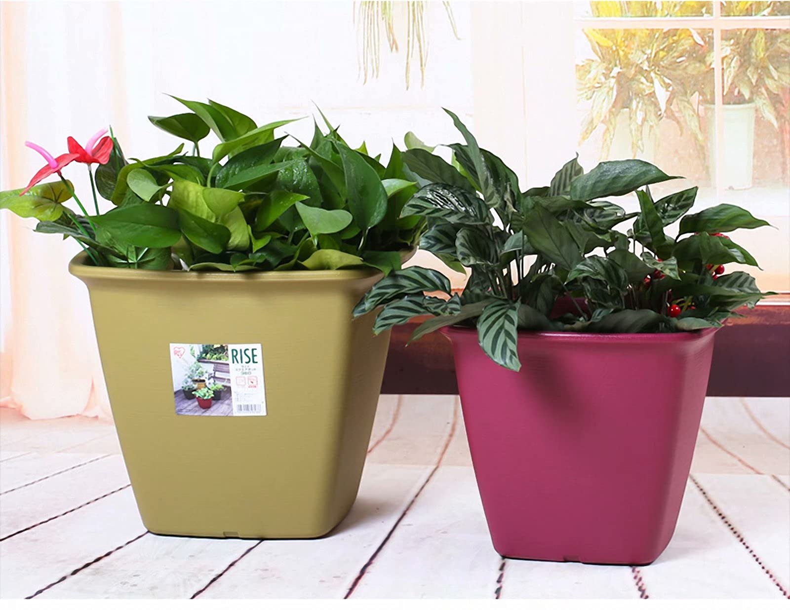 Fioriera In Plastica 49x25x17 Cm Con Vassoio Attaccato E Fori Drenaggio – Vaso Per Davanzale Balcone Giardino Giallo
