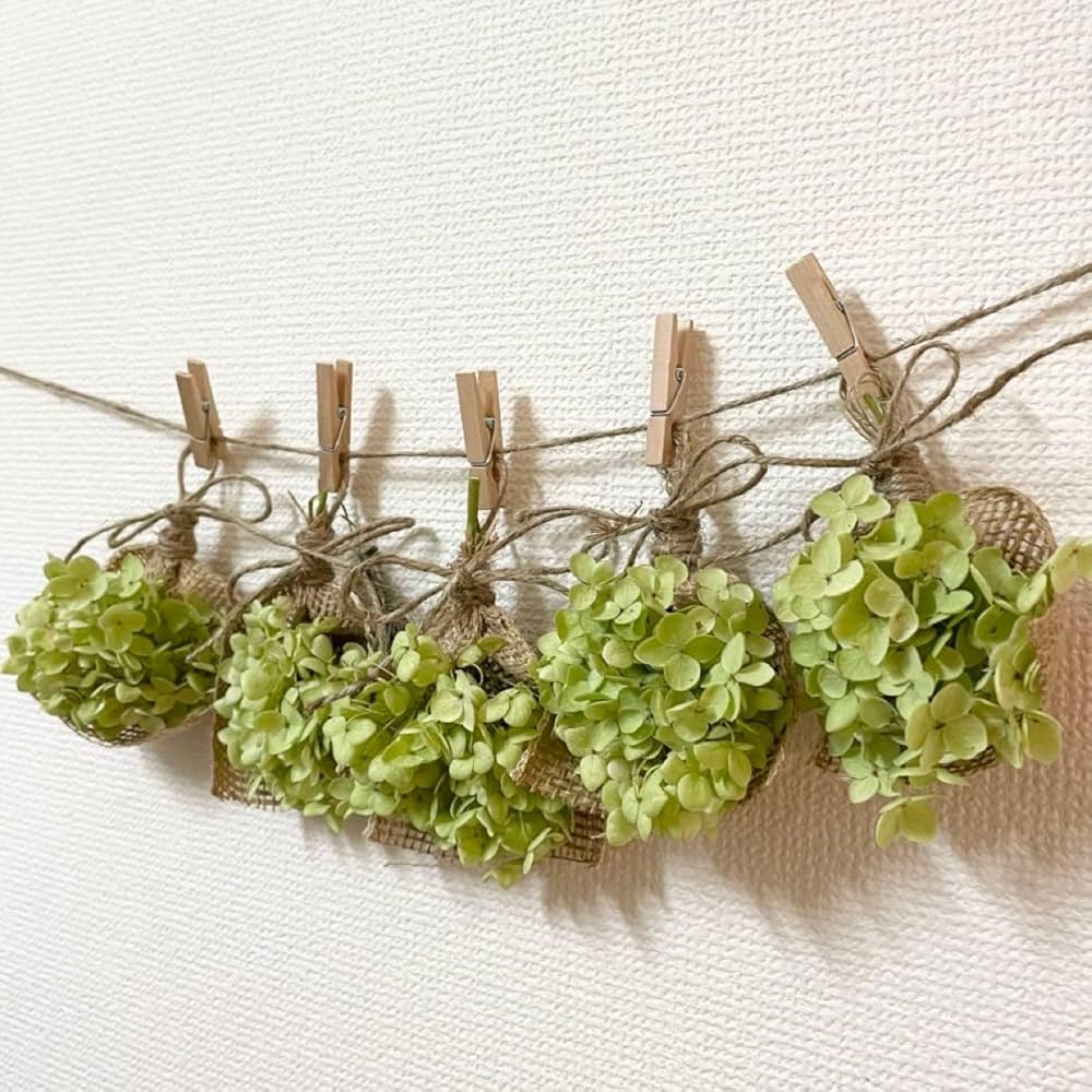 ドライフラワー★アナベルナチュラルスワッグ★癒し♪1点物♪インテリア♪ 再販！！H50cm アナベルとフーセンポピーシックナチュラルな