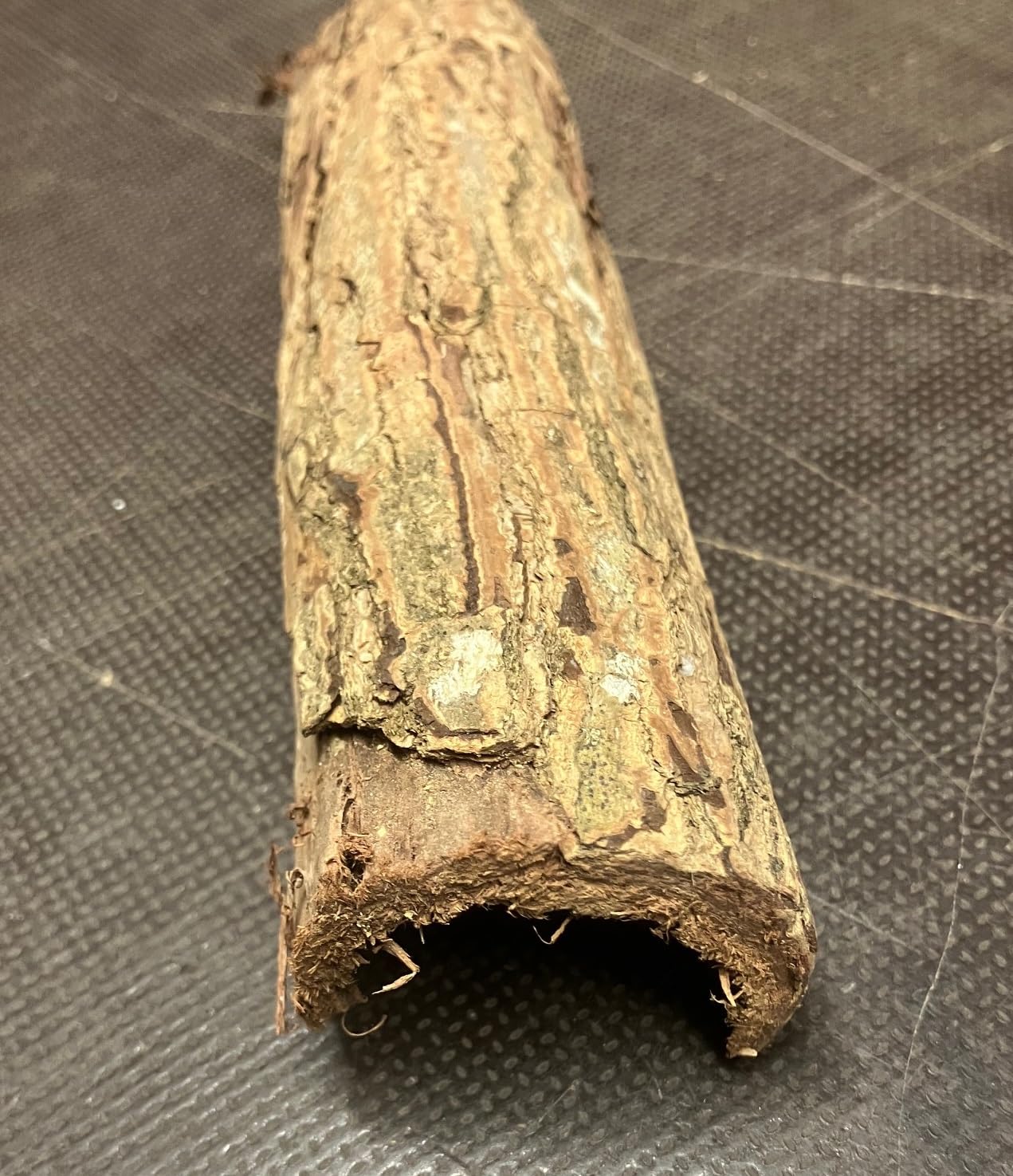2 x Indian almond tree bark (3 - 4 cm diameter x 10-12 cm) Catappa Barks Cave / Tube Indian Almond tree bark hollow tubes