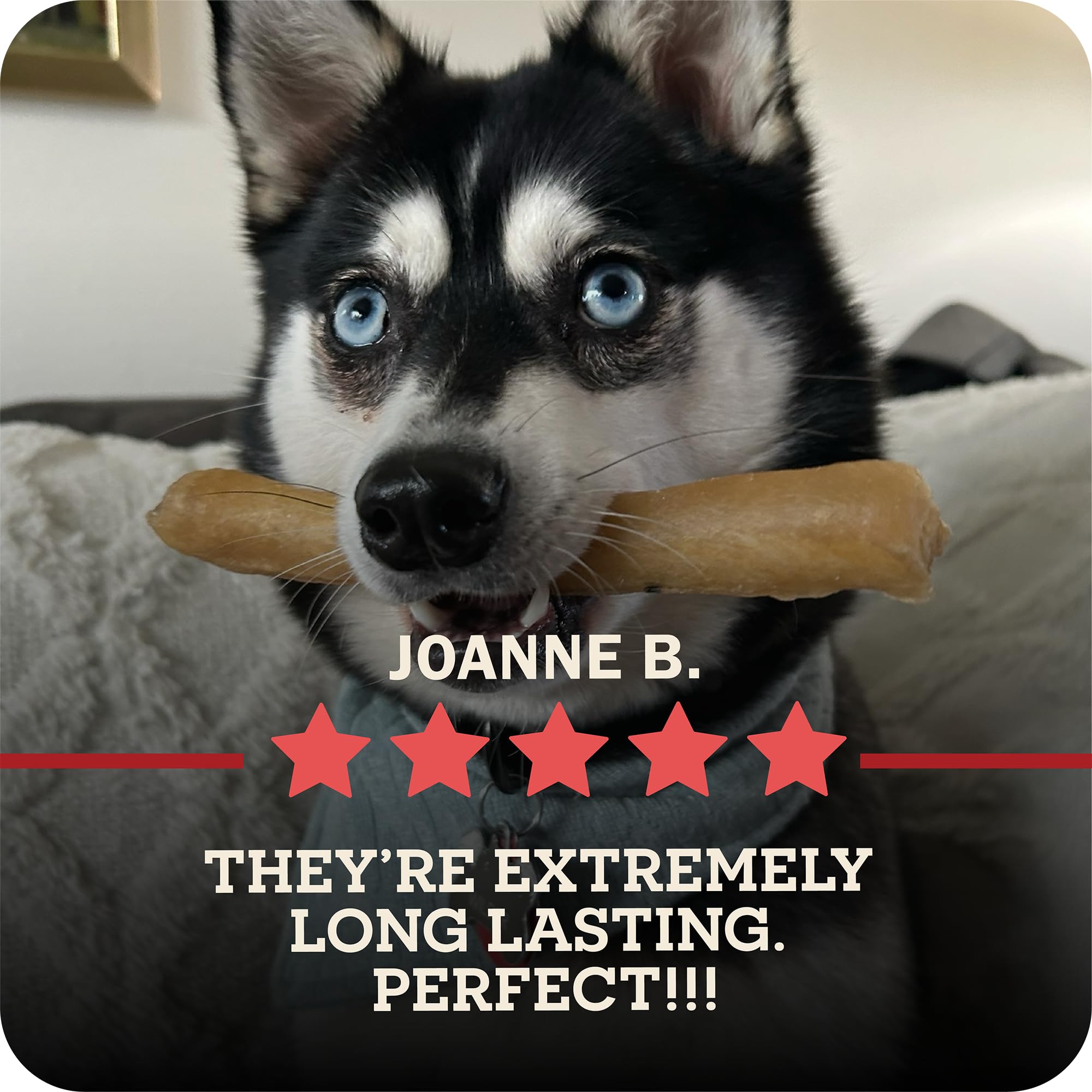 Beef Collagen Sticks for Dogs, Long Lasting Collagen Chews for Dogs. Bully Sticks Alternative High Protein Dental Treats w/Natural Collagen for Dogs Supports Joint, Skin & Coat Health (Large, 3pk)