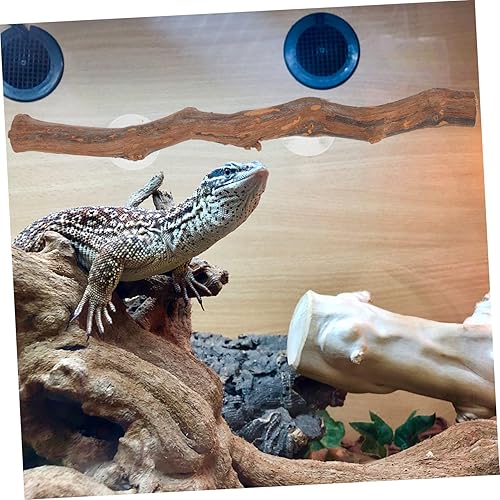 Miniatura 7 de Mipcase Soporte de lagarto para mascotas, serpientes, rama, lagarto, suministros para plantas, decoración del hogar, decoración decorativa,
