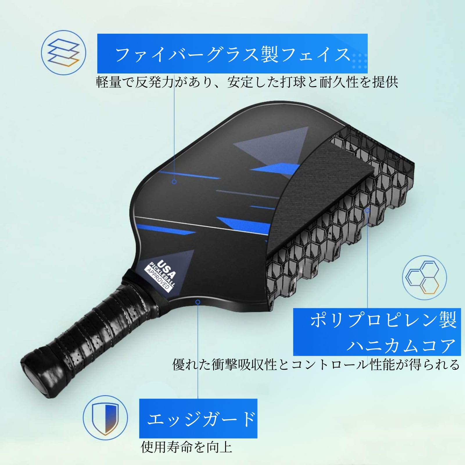 Amazon | EverVanz ピックルボール パドル 2本セット ピックルボール