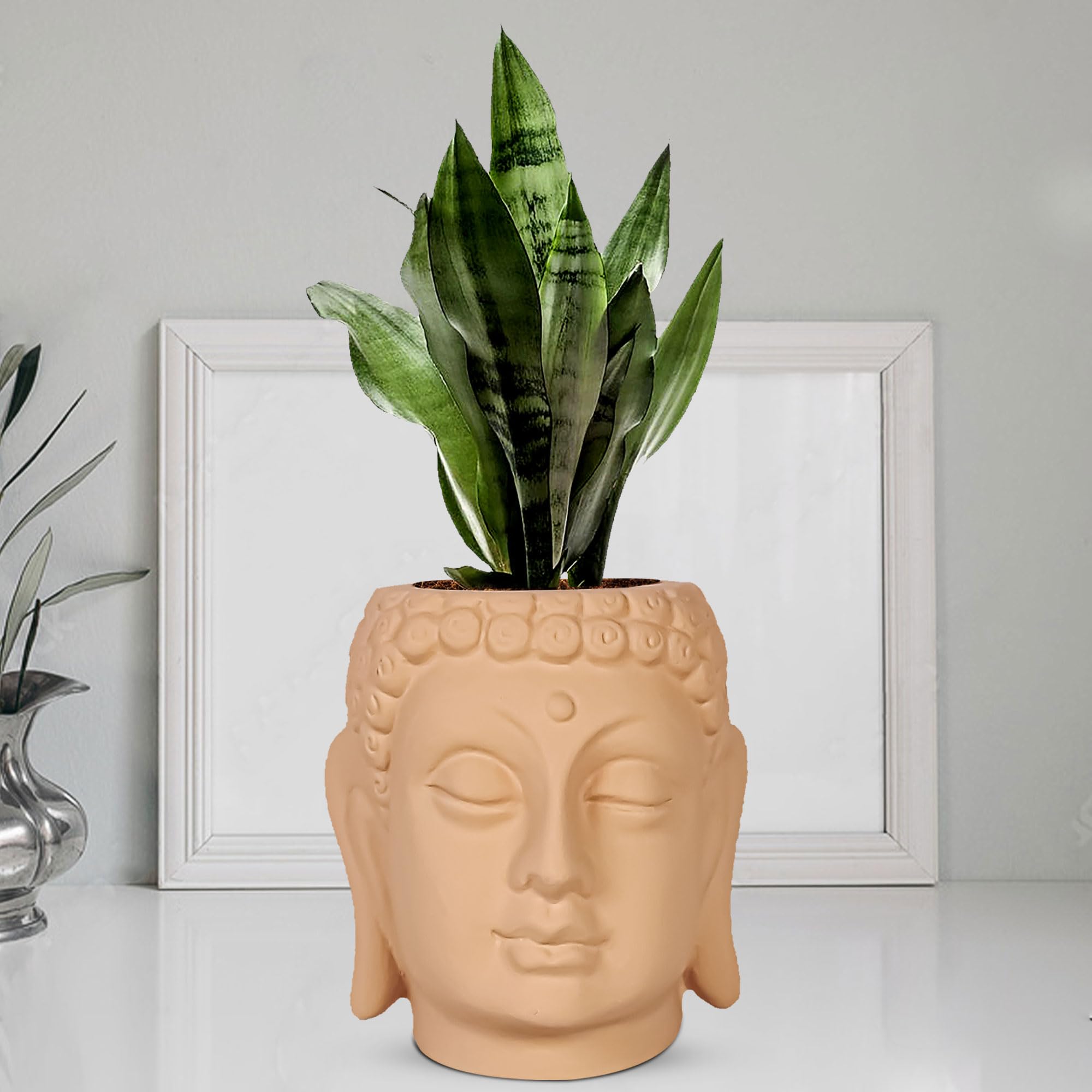 Lasaki Buddha 6 Ginger Ceramic Pots for Indoor Plants, Planters, Flower, Pots, gamla,Outdoor,Balcony,Home,Round,Garden, Office Decor,Succulent(H - 15.5 X D - 16 cm)(Plants not Included) (B0C9QTBWF6) Amazon Price History, Amazon Price Tracker