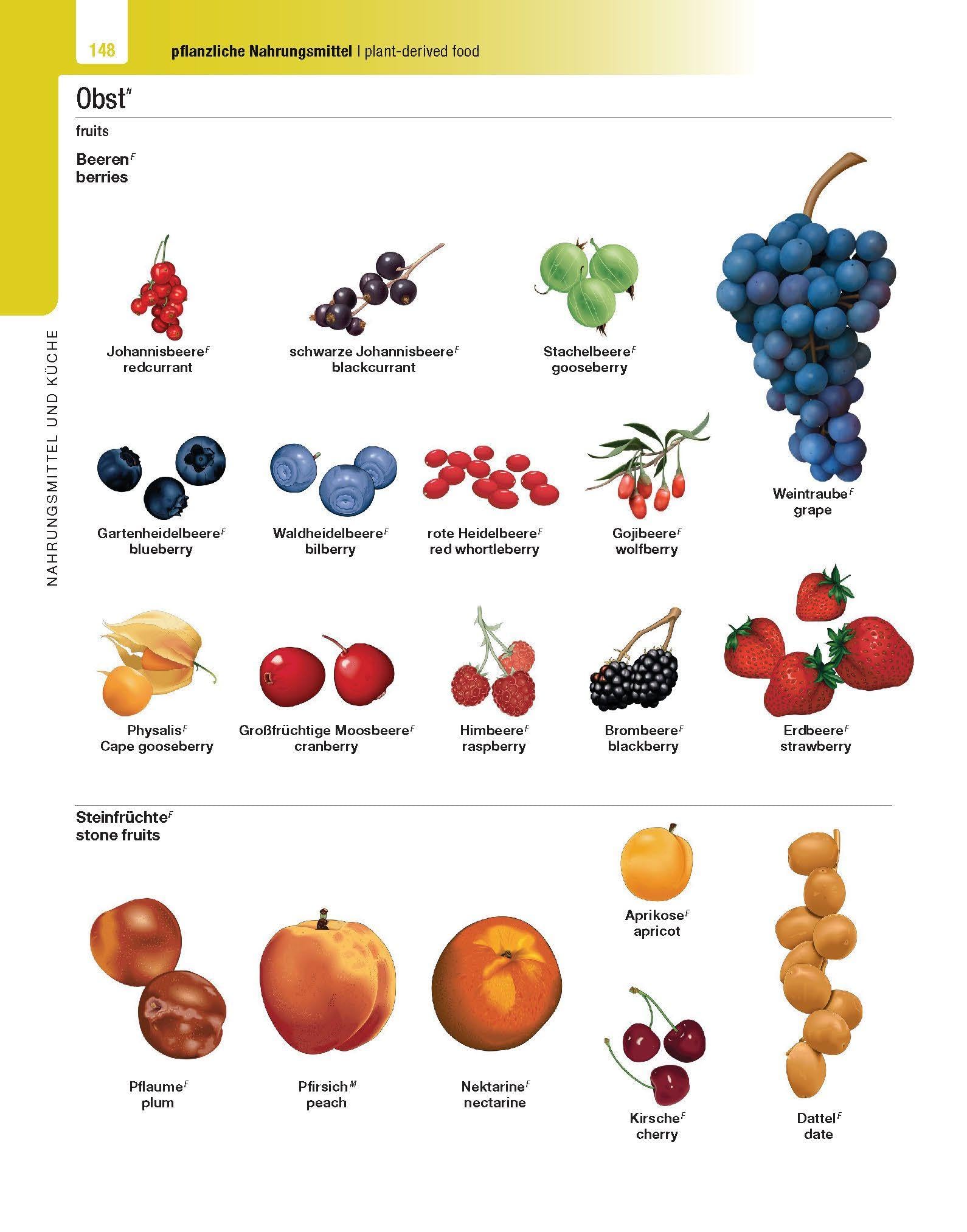 Langenscheidt Illustriertes Wörterbuch Englisch: Reich an Details in Wort und Bild