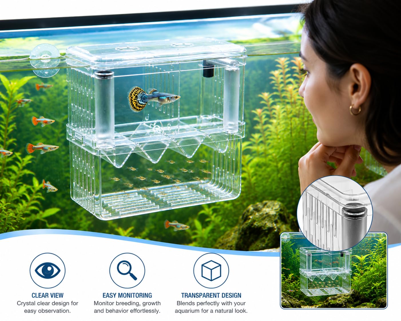 Scroll Store Aquarium Double Deck breeding Box for Fish | Isolation Box for Fish and Shrimp (Large) 3