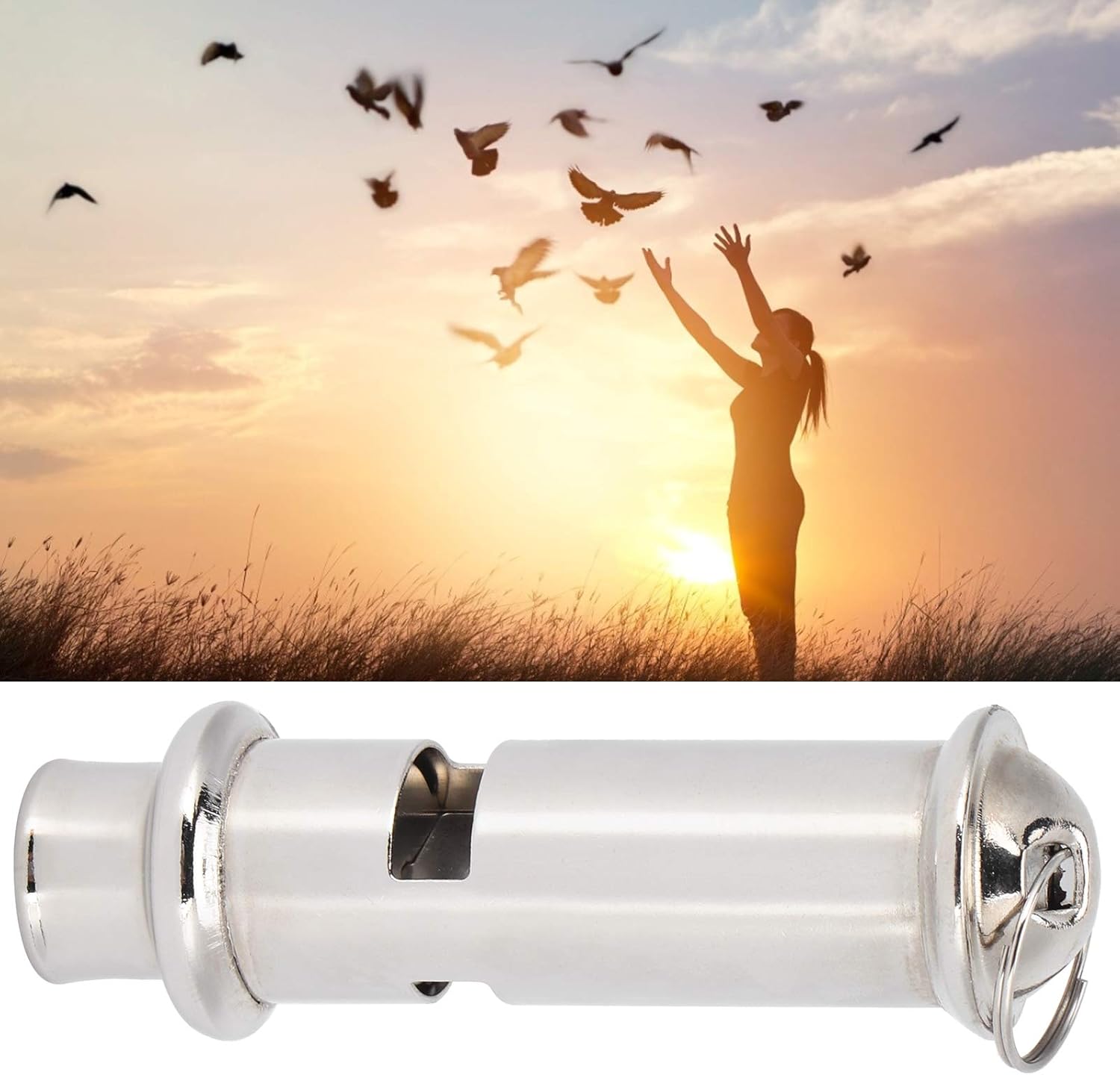 Gerioie Pigeons Whistle, Portable Mini Silver Training Whistle, with