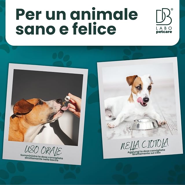 Foto 4 de 7 de DBLabo Pet - Snack calmante para perros y gatos
