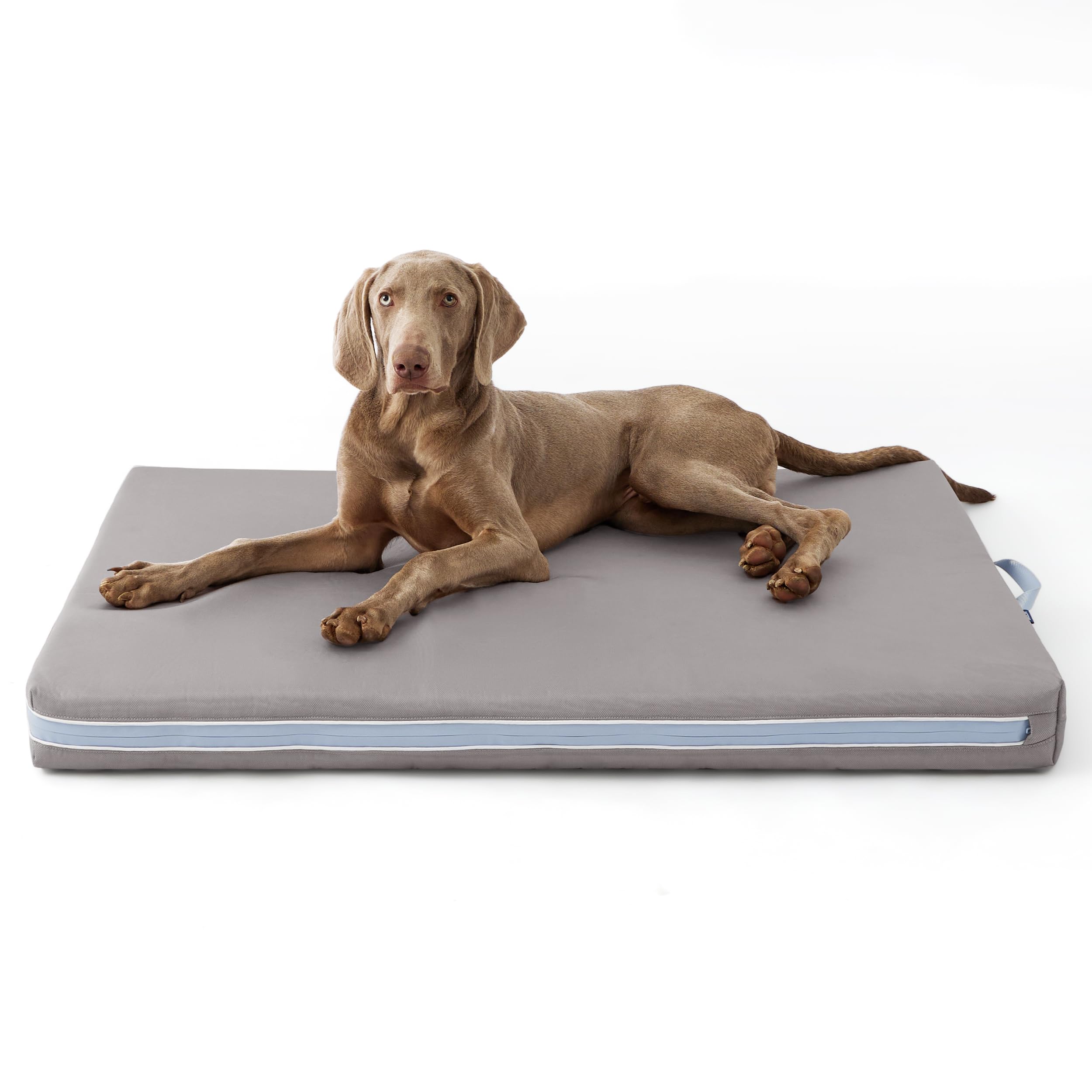 Bedsure Outdoor Waterproof Dog Bed with Heavy Duty Cover, Orthopedic Foam Supportive Dog Beds, Washable Dog Mat with Removable Cover for Large Dogs (44"x32", Grey)