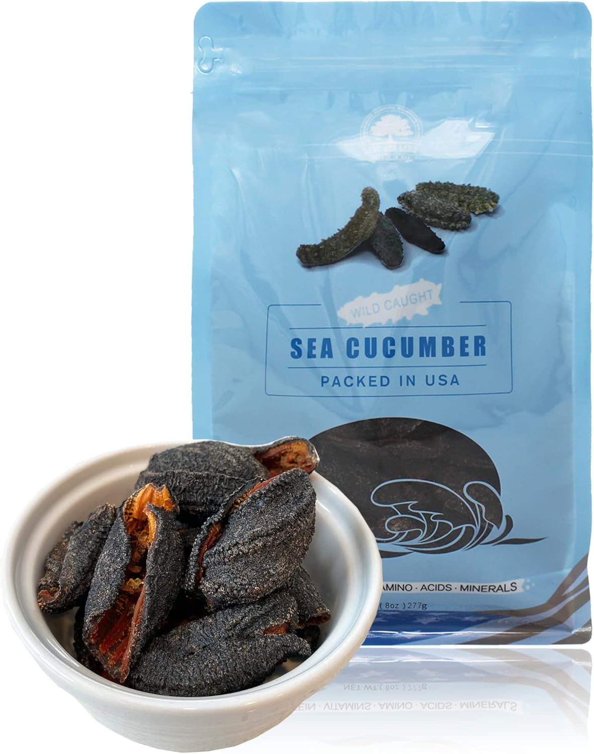DABC OAK LAND Sea Cucumber Canada Dried Supplement Wild Caught Sea
