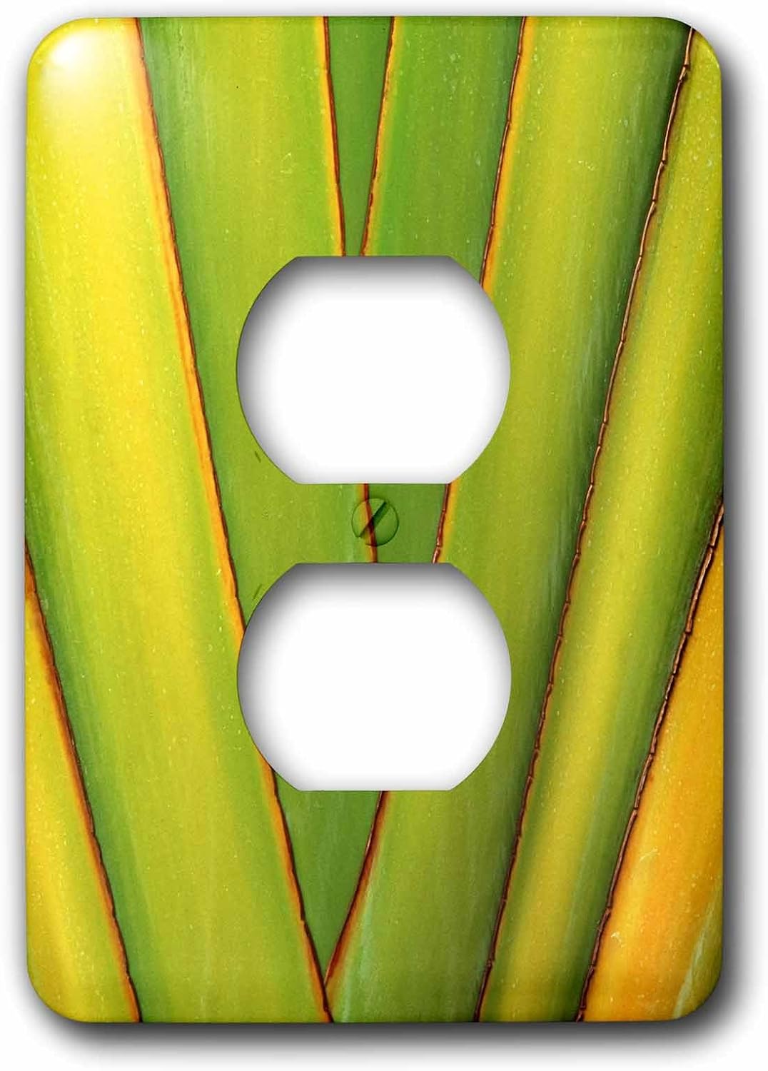 3dRose LLC lsp_89502_6 Hawaii, Big Island. Tropical Plant Abstract Us12 Bja0009 Jaynes Gallery 2 Plug Outlet Cover