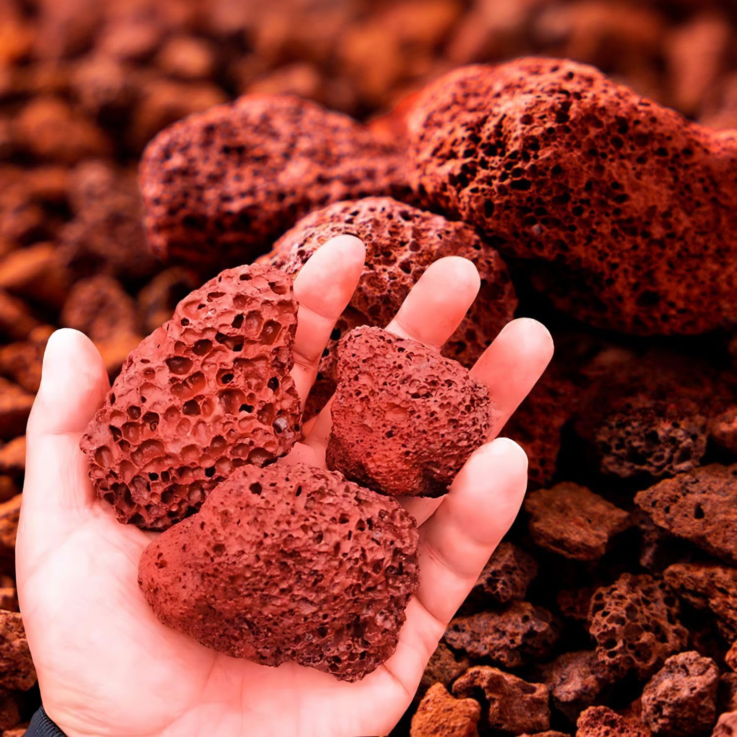 10~15cm (1 Kg) Natural Volcanic Red Lava Rocks, Versatile Pebbles for Fish Tank Landscaping, Succulent Planters, Vase Filler & Garden Accents, Indoor Outdoor Gas Fyre Pits Fyreplaces