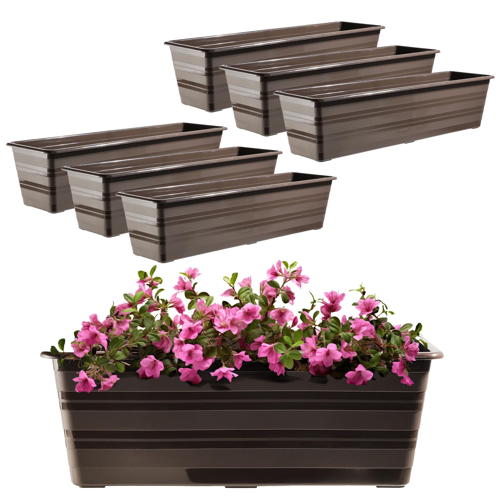 KADAX Set 6x60 cm Fioriera Marrone, Vaso da Balcone in Plastica, Fioriera Resistente alle Intemperie, Vaso per Fiori, Fioriera da Ringhiera per Fiori
