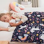 Mr. Sandman Weighted Blanket for 3 Pounds Washable, Best for 20-40lb Breathable Cotton Heavy Blanket with Nontoxic Glass Beads - 36" x 48" Cute Cat