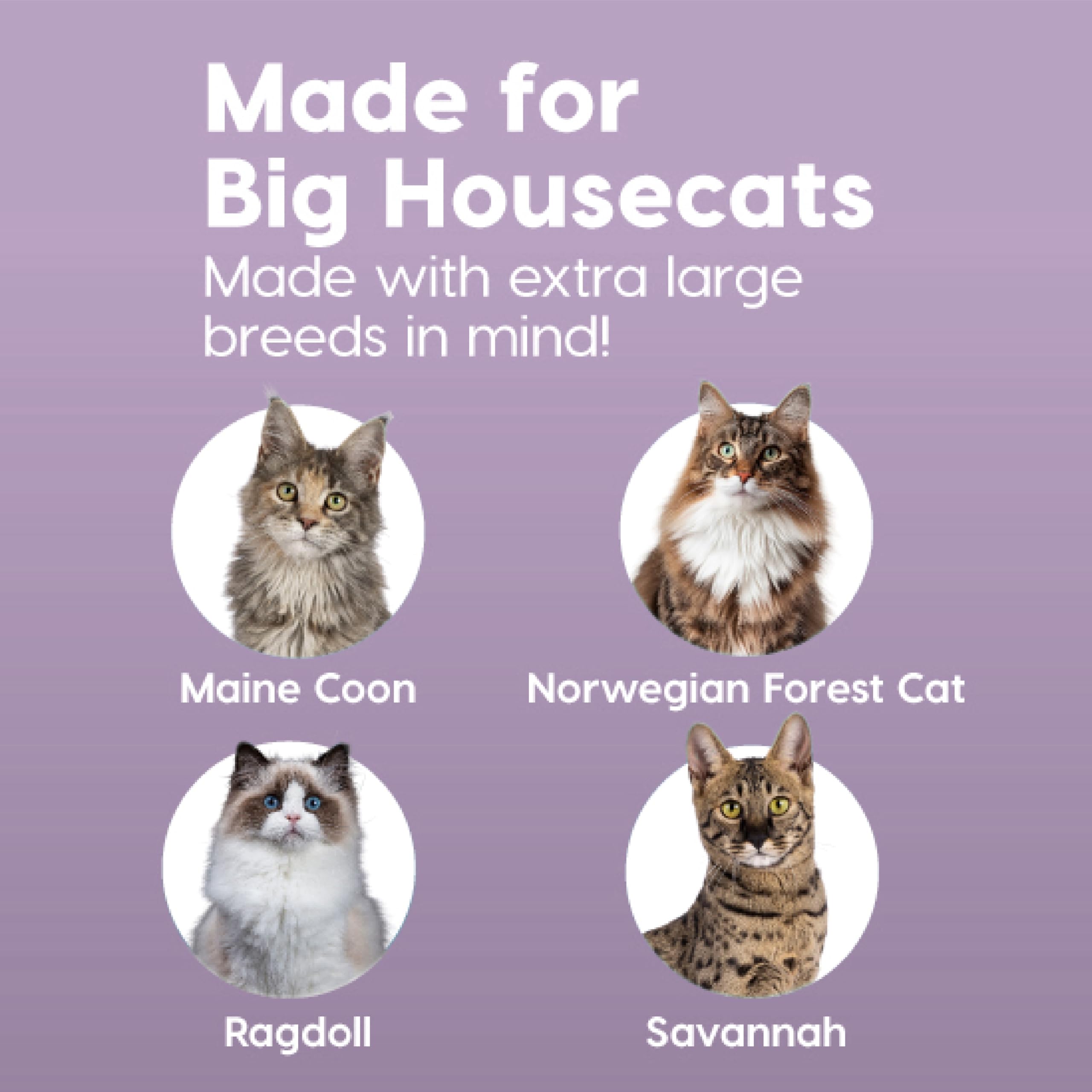 Iris Ohyama, Arenero XL para Gato, Bandeja de Arena XXL para Gato, Gris, Caja de Arena, Apertura Superior, Fácil de Limpiar, para Gato Adulto Grande, Dos Gatos, Maine Coon, sin BPA - Punt-XL