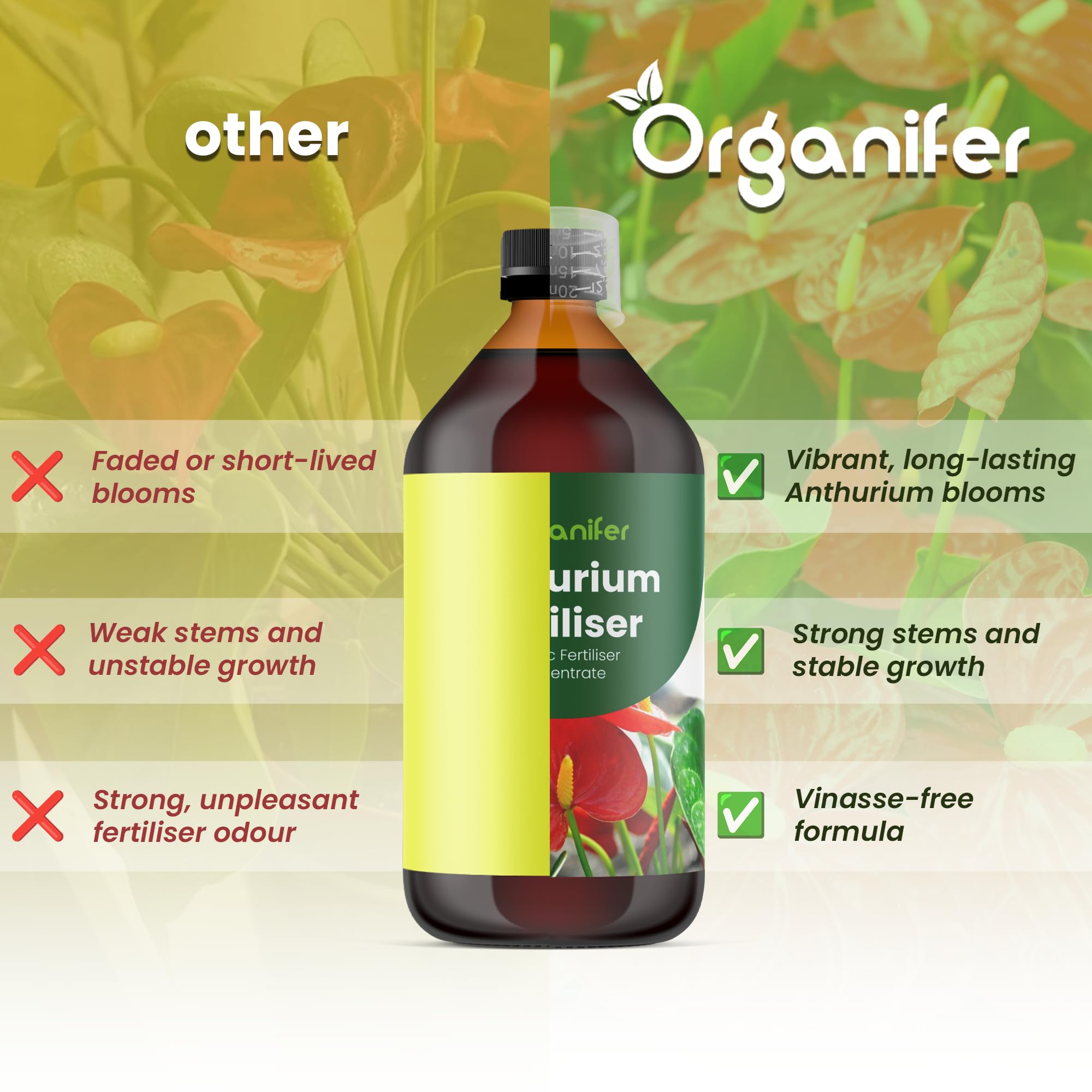 Anthurium Engrais liquide – Engrais liquide organique pour fleurs abondantes & racines solides – Favorise les tiges & vitalité – Organifer (1L)