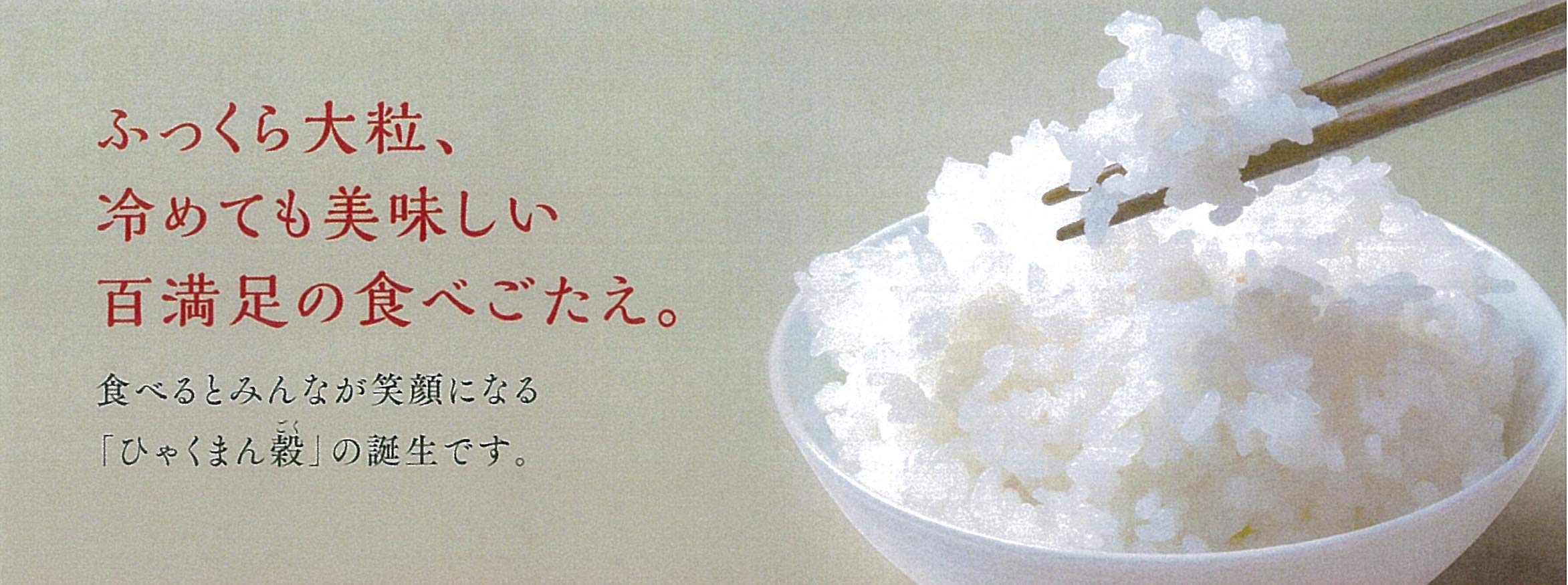 Amazon.co.jp: パールライス 石川県産 白米 ひゃくまん穀 2kg 令和7
