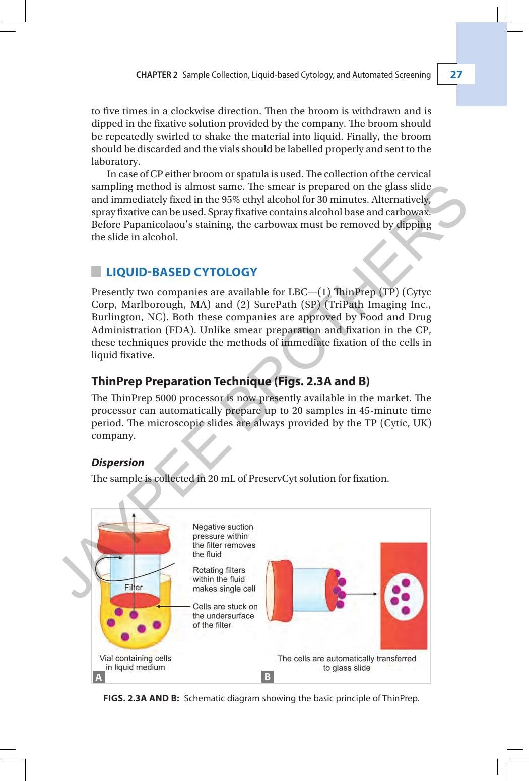 Cervical Cytology: Special Emphasis on Liquid-based Cytology