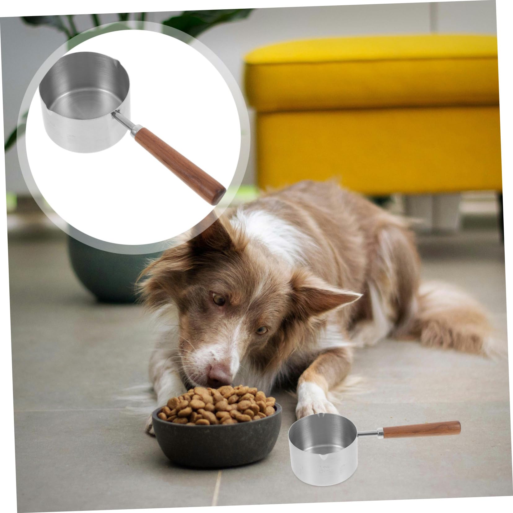Toddmomy 4 Pièces Cuillère De Nourriture Pour Tasse À Mesurer Cuillère À Mesurer Réutilisable À Nourriture Pour Chat À Chat À er Pour