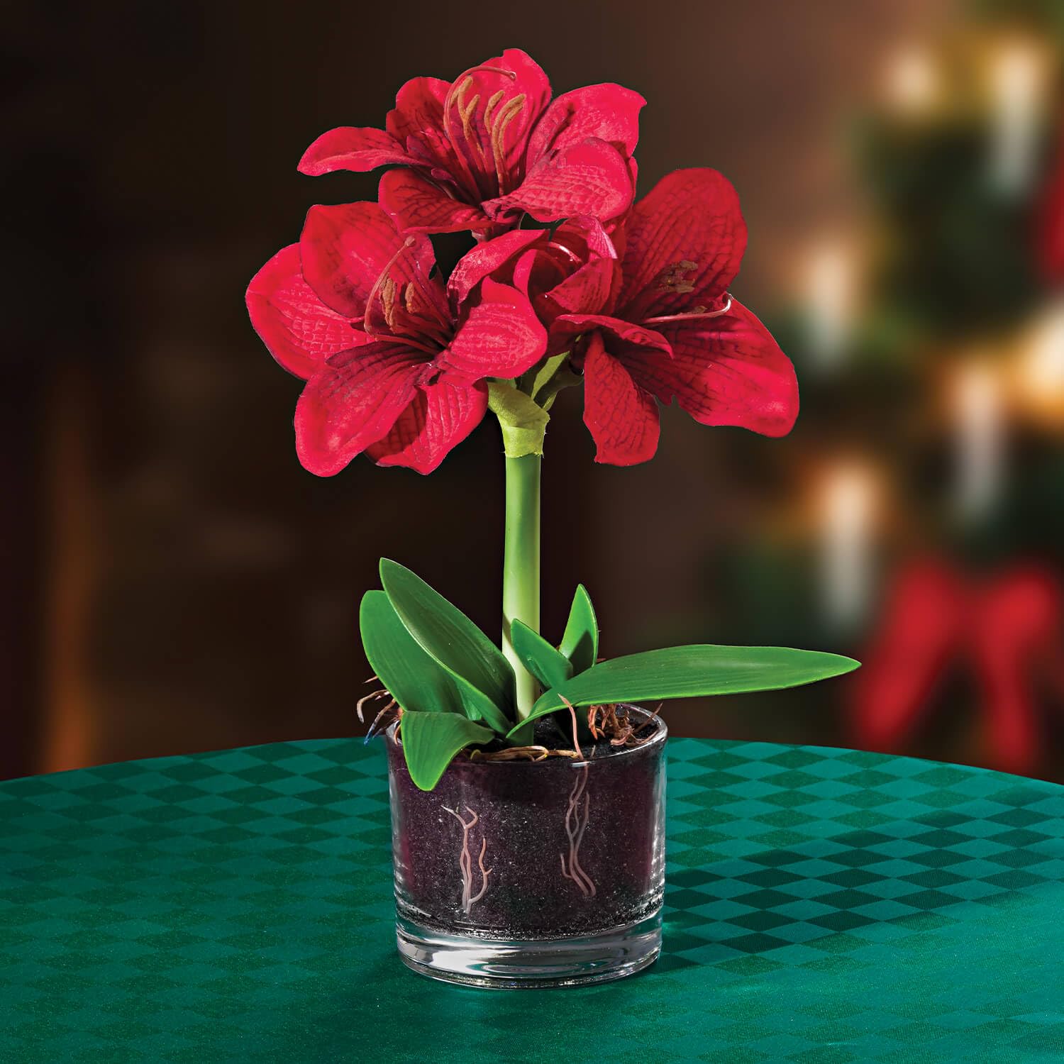 Coopers of Stortford - Artificial Amaryllis Plant in Glass Pot - Lifelike Red Faux Flower Decoration for Home or Office