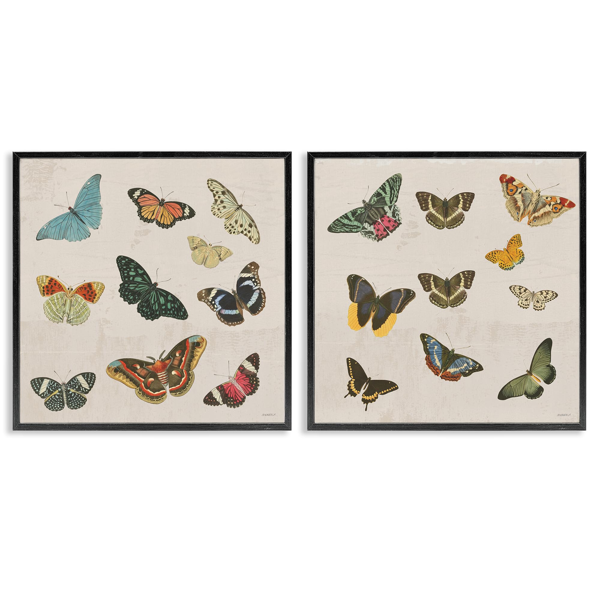 Stupell Industries Midnight Black (Textured) 'Collection Of Vintage Butterflies'| 2Pc Framed Giclee Art Set 2